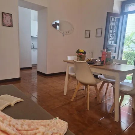 Daisy, Loggiadeifiori - Cozy In * 코모